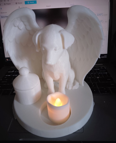 Dog angel wings pet - wings, memorial