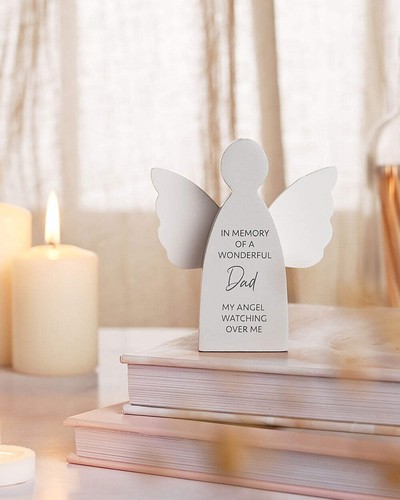 Memory guardian angel - guardian,